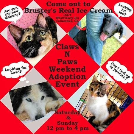 Brusters Ice CreamHollywoodClaws N Paws Pet Adoptions  Sat, Sun (Brusters Ice Cream1654 Whittlesey Road)