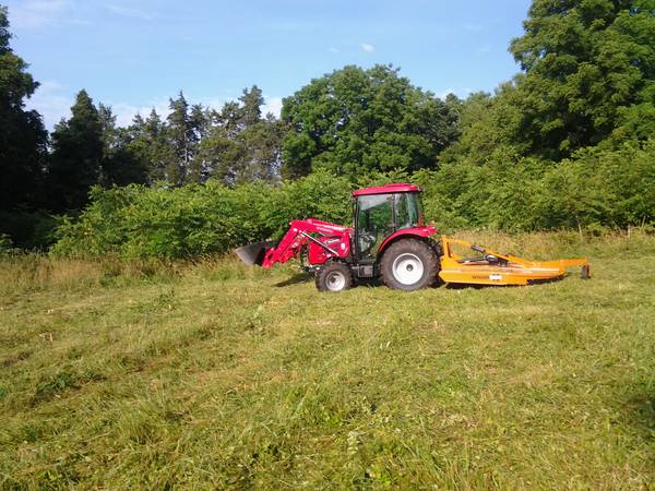 Bush Hogging and many other services offered (Fauquier County)