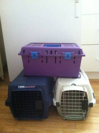 cage dog or cat transport carrier