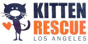 Canoga Park PetSmart Cat Adoptions (Canoga Park, CA)