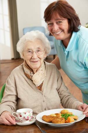 CAREGIVER, Home Health Aide can help with Meals, Errands, Laundry, etc (Western Cuyahoga County)