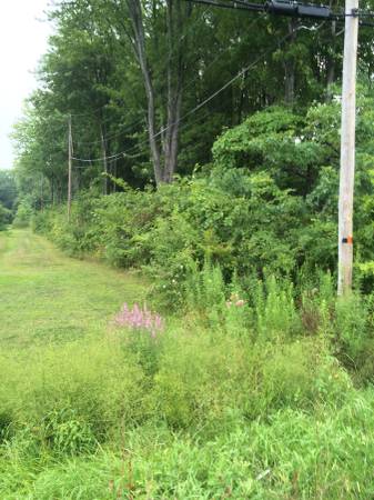 Carlisle Township ,  5 Acres .   24000.00 (Carlisle Twsp .)