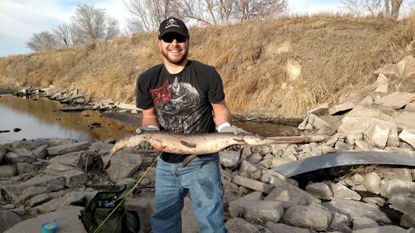 Carp and gar removal (United States)