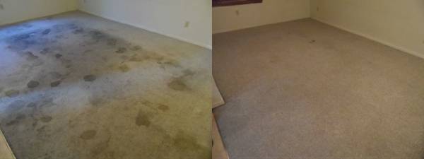 Carpet amp floor cleaning (Laramie)
