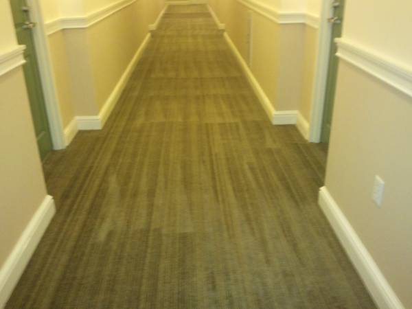Carpet Cleaning (Framingham)