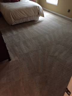 Carpet Cleaning (Indianapolis amp  Surrounding Areas)