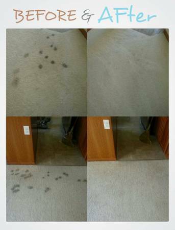 CARPET CLEANING, SHAMPOOING, STAIN REMOVE, ATTENTION TO DETAIL (WITHIN 30 MILES OF EVERETT)