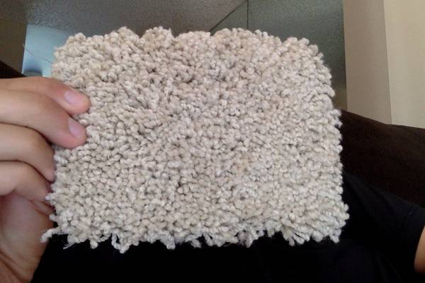 Carpet Nylon Stainmaster Remnant