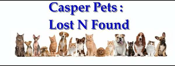 Casper Pets Lost N Found