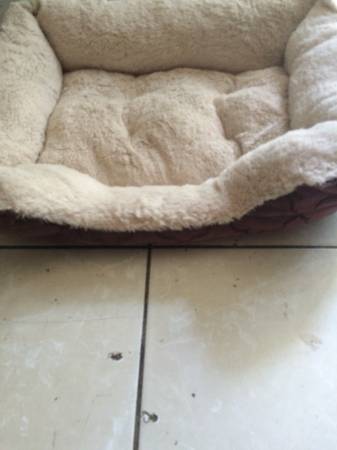 Cat bed  10.00 (Honolulu)