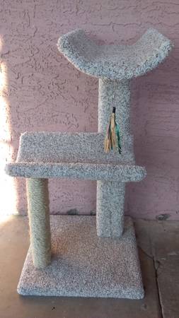 cat condos (west phoenix)