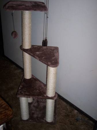 Cat scratching post tower (27th college)