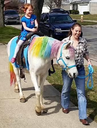 CHAMBERLIN PONY RIDES amp PETTING ZOO