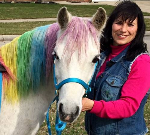 CHAMBERLIN PONY RIDES amp PETTING ZOO