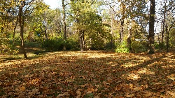 CHEAPCHEAPLAWNLAWN leaf removal (AVE ST.LOUIS AVE)