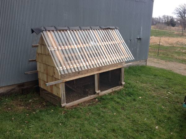 Chicken Coop