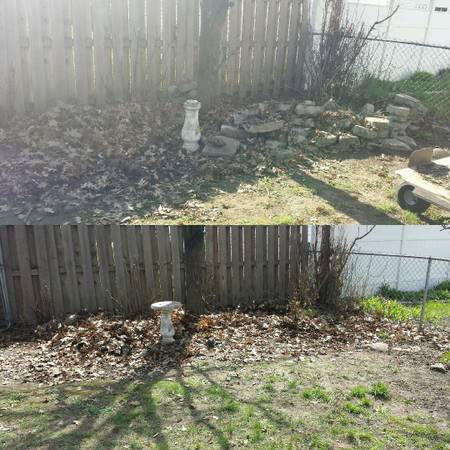 Clean out Galore LLC yard clean up