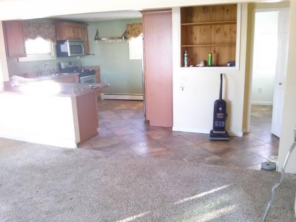 Cleaning, Painting amp Carpet Cleaning (Oakland,Wayne, Macomb Counties)