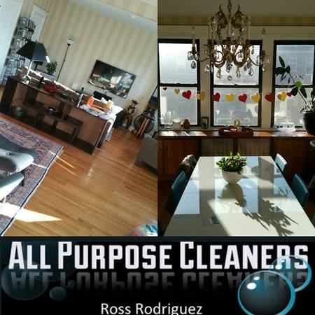 Cleaning Service All Purpose Cleaners
