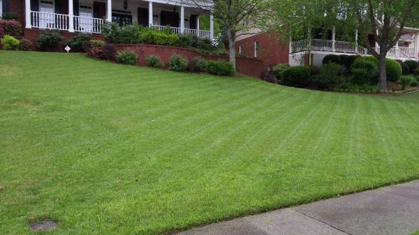 Clearwater Landscaping starting at 35 in Gwinnett County (Gwinnett County)