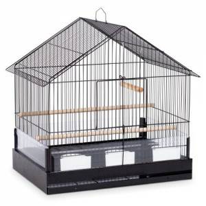 Cockatiel House Style Bird Cage 50 (Altamonte Springs)