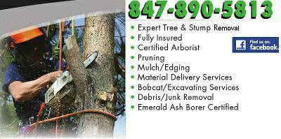 COMMERCIAL AND RESIDENTIAL TREE SERVICE