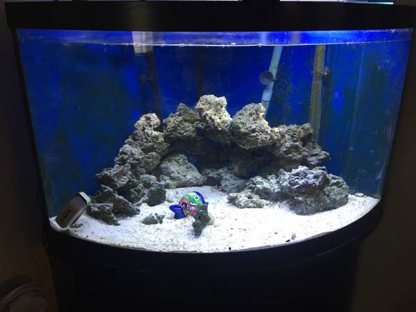 Complete 55 gallon marine (salt water) aquarium (Peoria)
