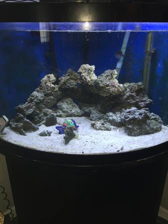 complete 55 gallon marine (salt water) aquarium (Peoria)