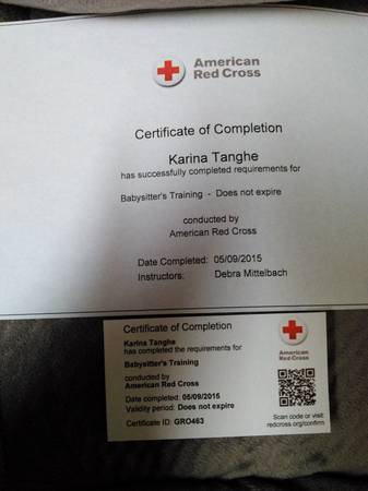 CPR certified after school babysitter (Clinton township)