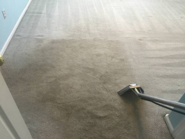 Craigs Carpet Cleaning Special