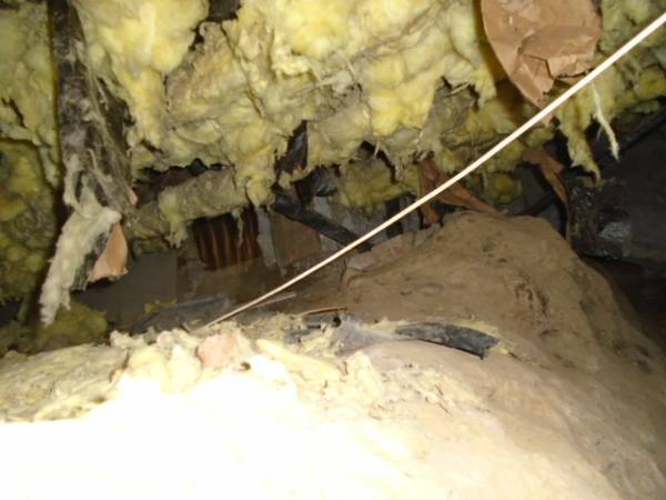 Crawl space cleaning and insulation, attic cleaning and insulation (Puget Sound)