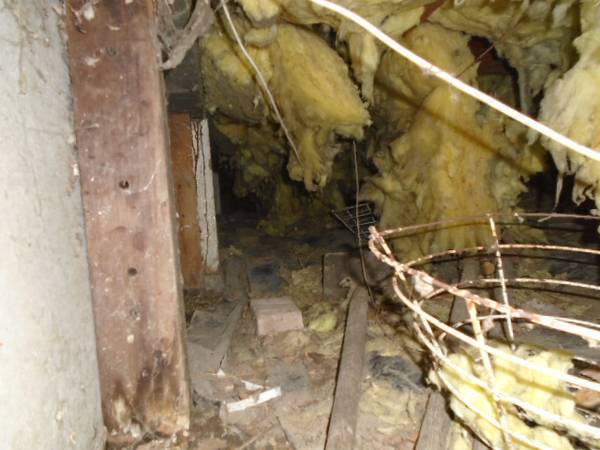 Crawl space cleaning and insulation (WA)