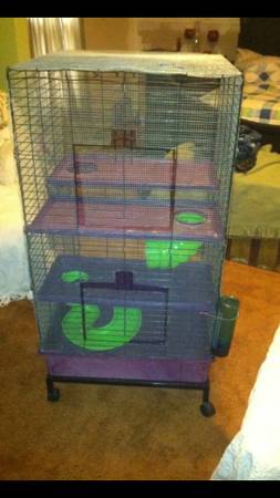 Critter cage (Jackson)