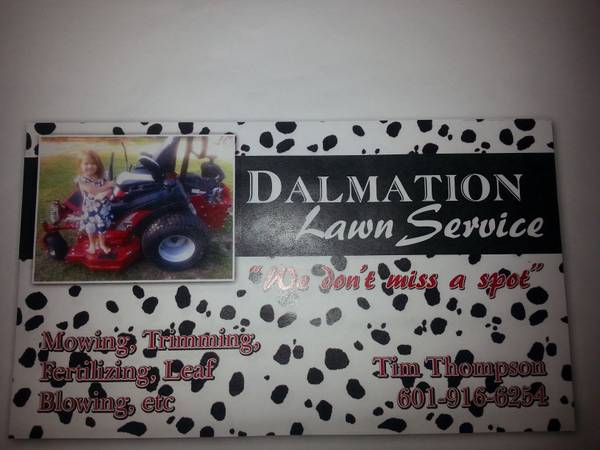 Dalmation lawn service we dont miss a spot (pearl river countynorthshore)