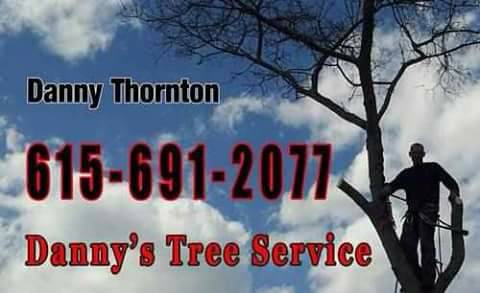 Dannys Tree Service (Nashville)