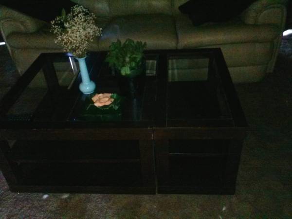 Dark Wood Coffee Table on Wheels (2 pcs)