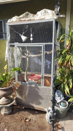 DEALL BirdReptile Aviary  5.7ft tall by 3.7 wide Custom,Come with sticks and pl (whittier off beverly)