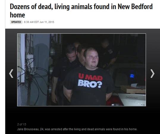 Did you give any animals to these people (New Bedford)