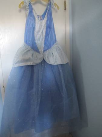 Disney Princess costume large L blue purse hair cake topper