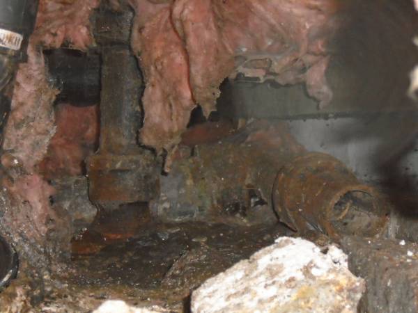 Does your crawl space need cleaning and insulation (Puget Sound)
