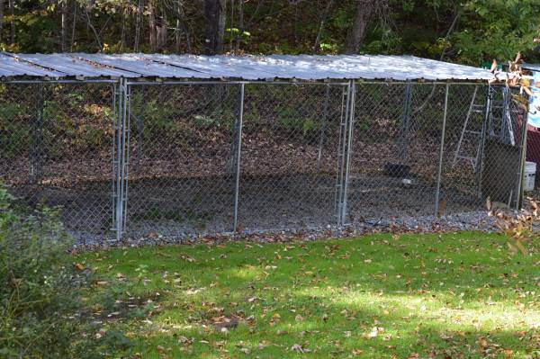 Dog Cage With Tin Roof