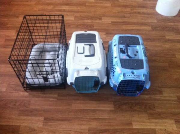 Dog Carriers and Crate (Greenwood)