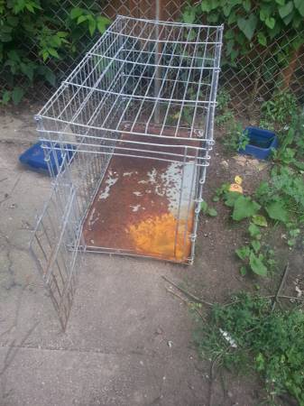 dog crate and puppy chow (cincinati)