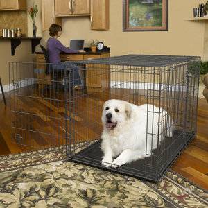 Dog Crate metal kennel wtray 32 amp 42inch (Council Bluffs, IA)