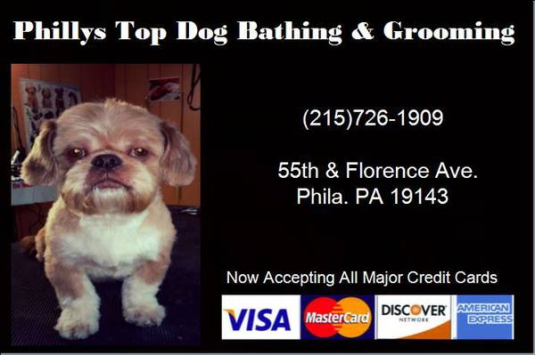 DOG GROOMING FOR CHEAP (Philadelphia)