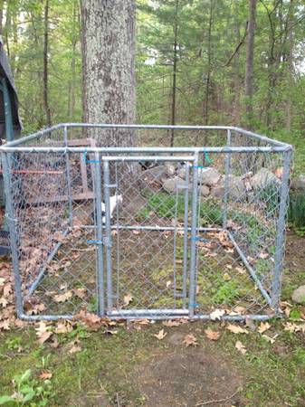 dog kennel (salem nh)