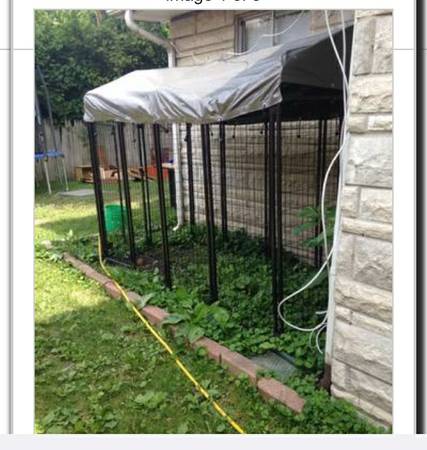 Dog kennel with tarp (Indy west)