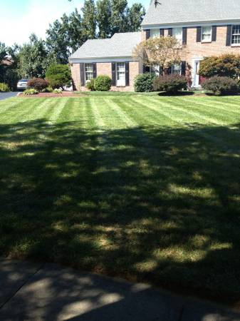 DR LAWNS LAWN CUTS WEEKLY OR BI MONTHLY (SOUTH BRUNSWICK MONROE SOMERSET)