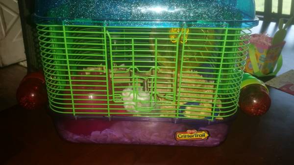 Dwarf Hamster With Cage (Red Oak)