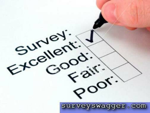 Earn Cash Online with Paid Surveys